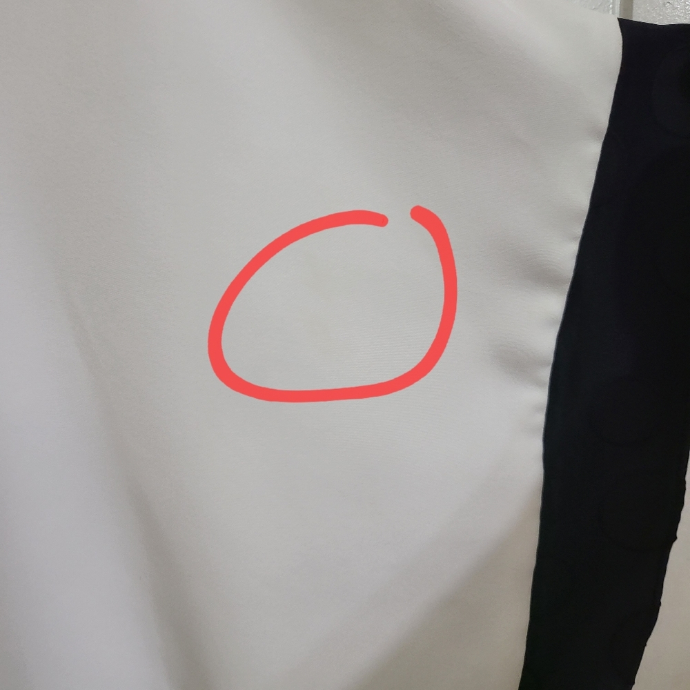 Zara Basic Blouse Tops - Picture 11 of 13